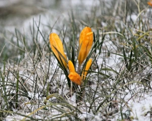 Синоптики засмутили прогнозом на п'ятницю